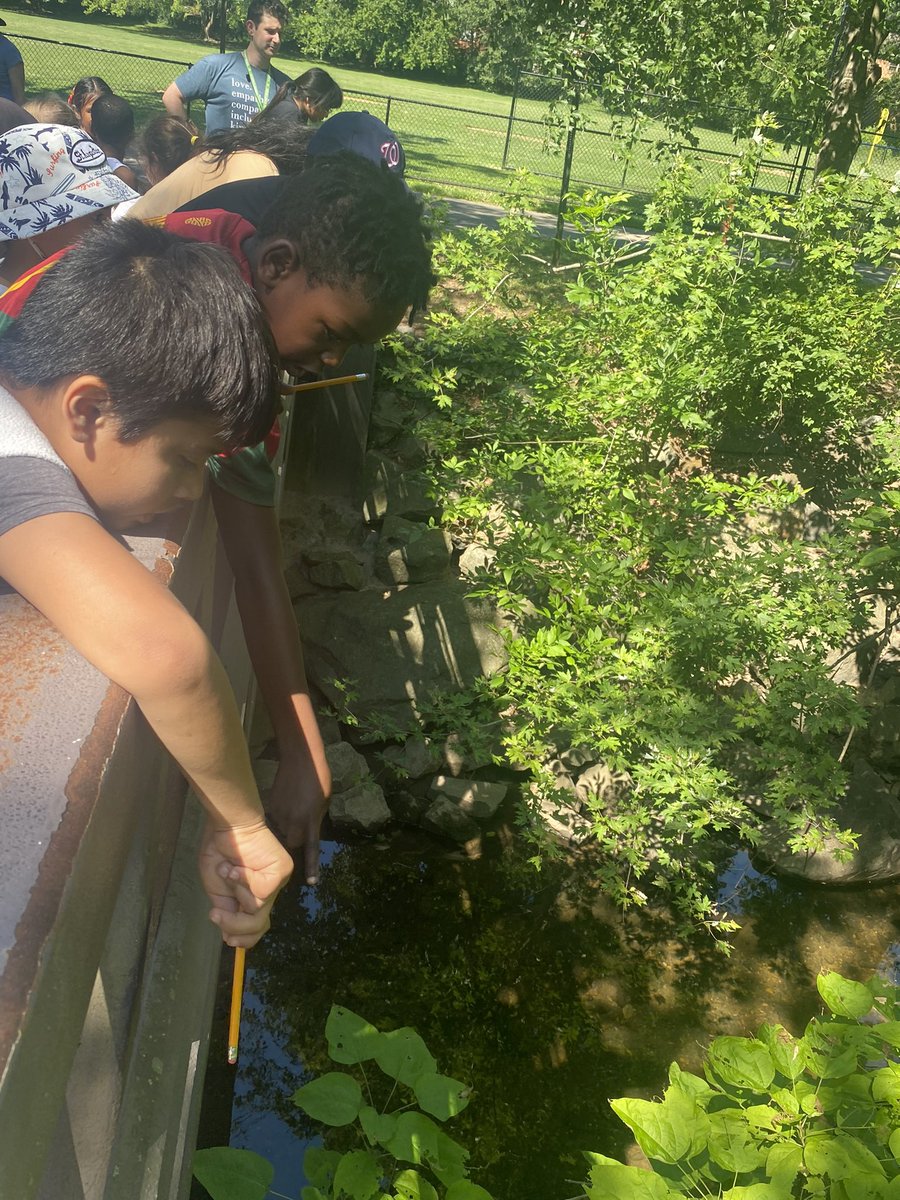 Ryan Van Valen tweet media