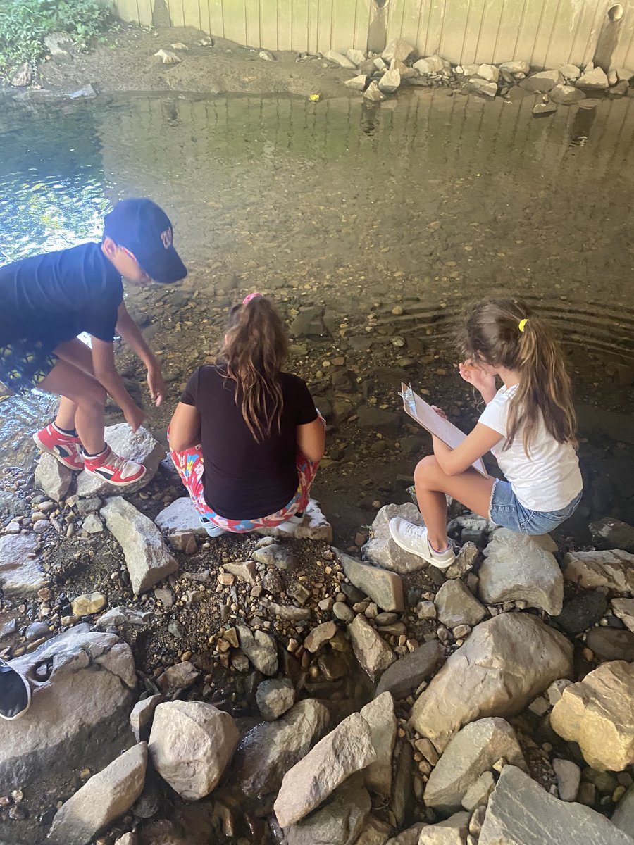 Ryan Van Valen tweet media