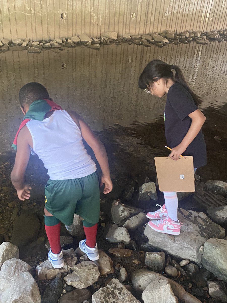 Ryan Van Valen tweet media