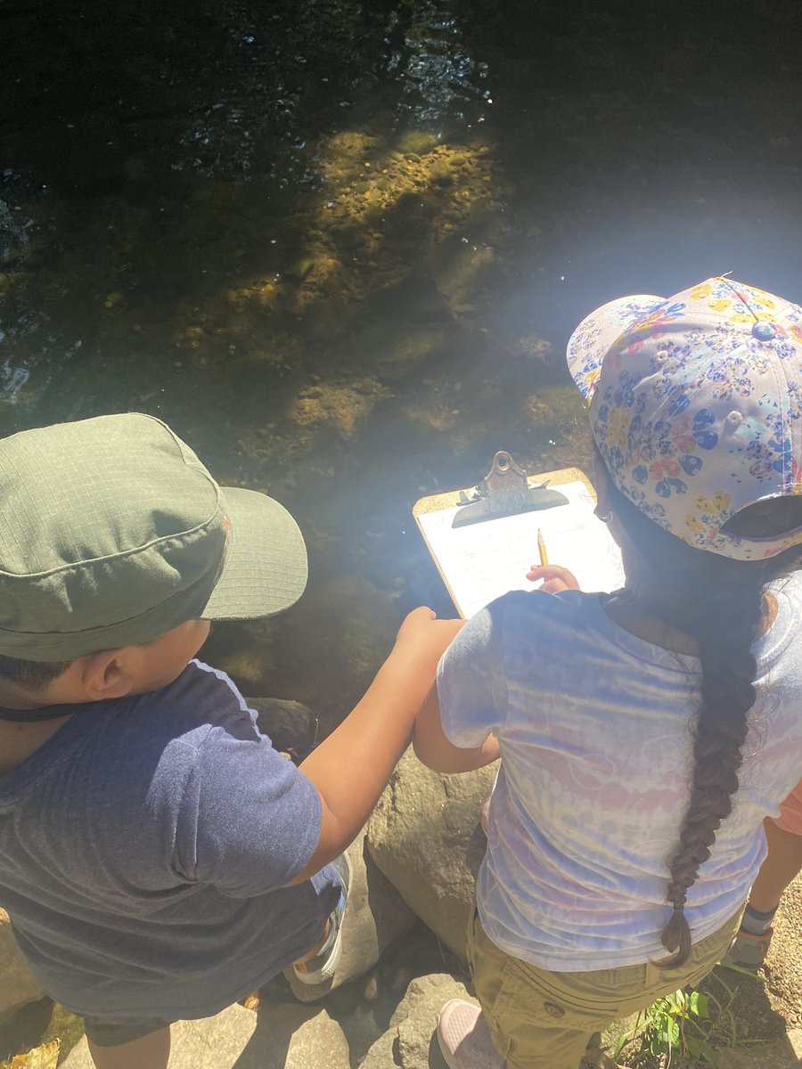 Ryan Van Valen tweet media