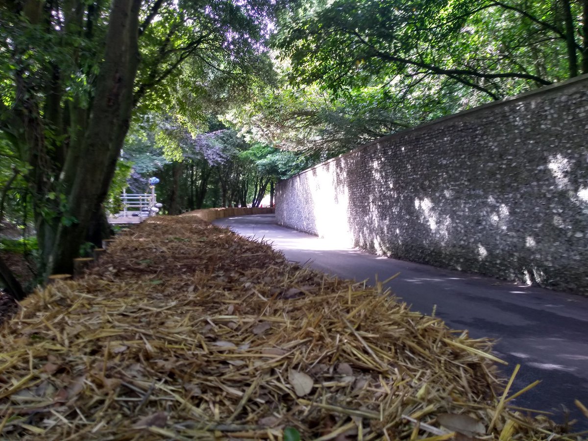Last day of 2023 #FOS here along the flint wall. Mega quick......pretty hairy at times too.......

<a href="/BARC_Marshal/">BARC Marshal</a> <a href="/OfficialBARCHQ/">BARC</a> #orangearmy