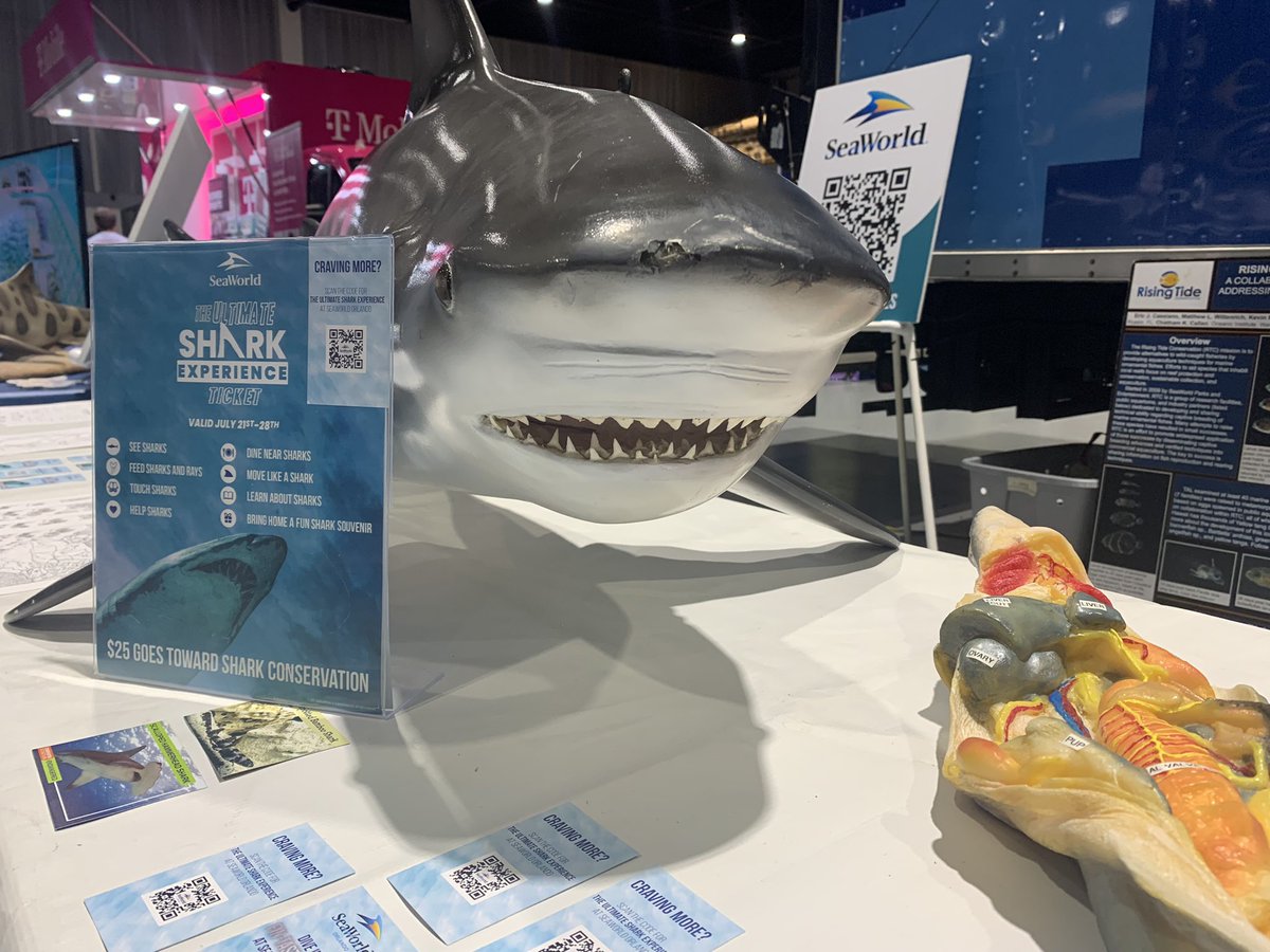 lens_of_em's tweet photo. Good morning and happy Sunday, today is the last day to enjoy SharkCon  at the Florida State Fairgrounds! Doors open at 9 and the event lasts until 5pm tonight. Come learn about why sharks are cool and so important to our environment (yes those are baby sharks) https://t.co/gzNpiLJnWM