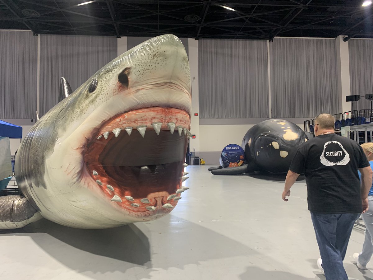 lens_of_em's tweet photo. Good morning and happy Sunday, today is the last day to enjoy SharkCon  at the Florida State Fairgrounds! Doors open at 9 and the event lasts until 5pm tonight. Come learn about why sharks are cool and so important to our environment (yes those are baby sharks) https://t.co/gzNpiLJnWM