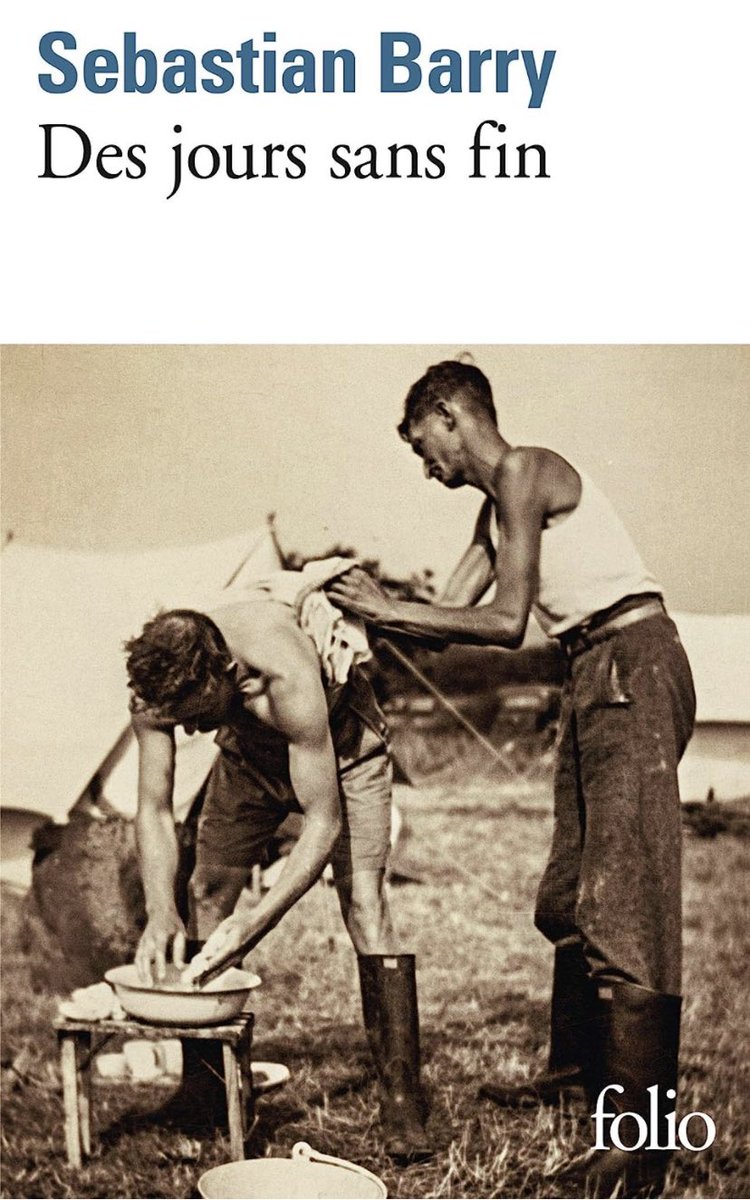 A-T Pietrera tweet media