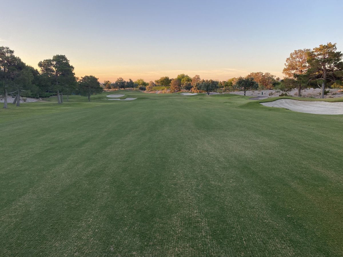 6 days post verticut, scalp, aerification, and topdressing. Bandera is the real deal!! T-84 days until @ShrinersOpen <a href="/sincitygcsa/">SNGCSA</a> <a href="/PGATOURAgronomy/">PGA TOUR Agronomy</a>