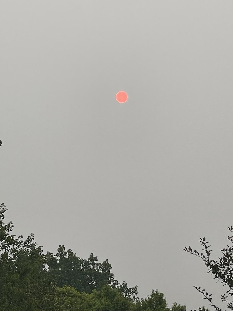 ChiShute's tweet photo. Eerie sky over suburban Chicago this morning caused by the Canadian Wildfires. #wildfiresmoke https://t.co/dERJ3712by