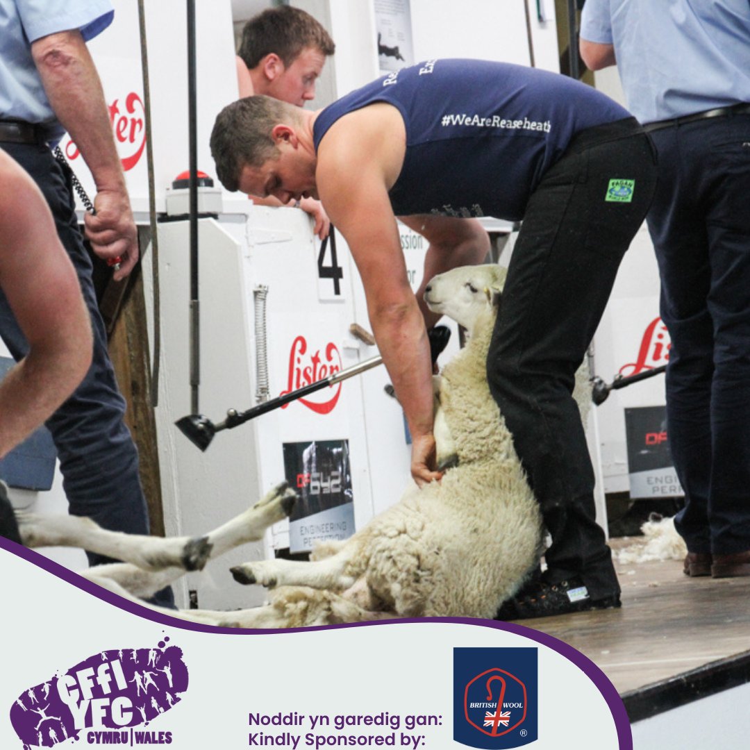 WalesYFC's tweet photo. Each year at the Royal Welsh Show we are fortunate to be able to provide a platform for our members to compete in the shearing competition🐑✂️🏆

We would like to thank British Wool for sponsoring this competition👏

#cffiyfc #yfcdoitbest #rwas #cafc @BritishWool https://t.co/9BGr6IdbFp
