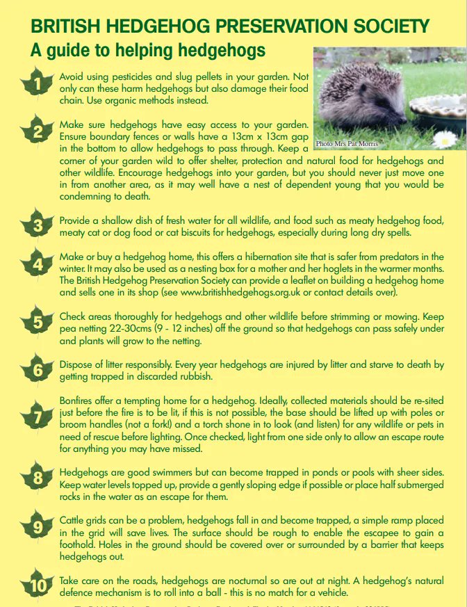 Do you want to see more #hedgehogs in your neighbourhood or local area? 🦔 🍂 👀 Share this handy guide to help make things easier & safer for our prickly friends! buff.ly/42j4Zil #SundayShare #hedgehog #wildlife #conservation #ShareSunday