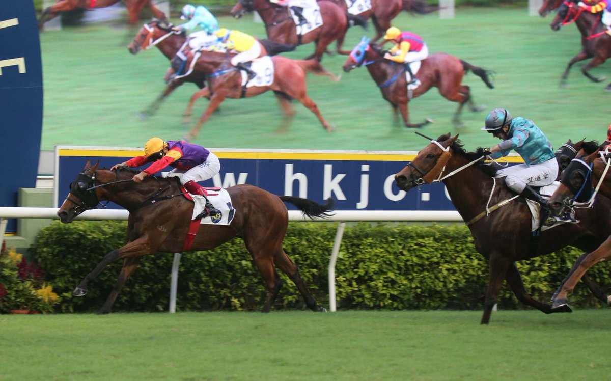 dommillard1's tweet photo. PARTERRE, with Karis Teetan aboard, took the race by the scruff of the neck at the top of the straight and under a driving ride by the Mauritian Magician, he held on to win a super race. Congratulations to owner Robert Ng https://t.co/bWWHw7Fm7x