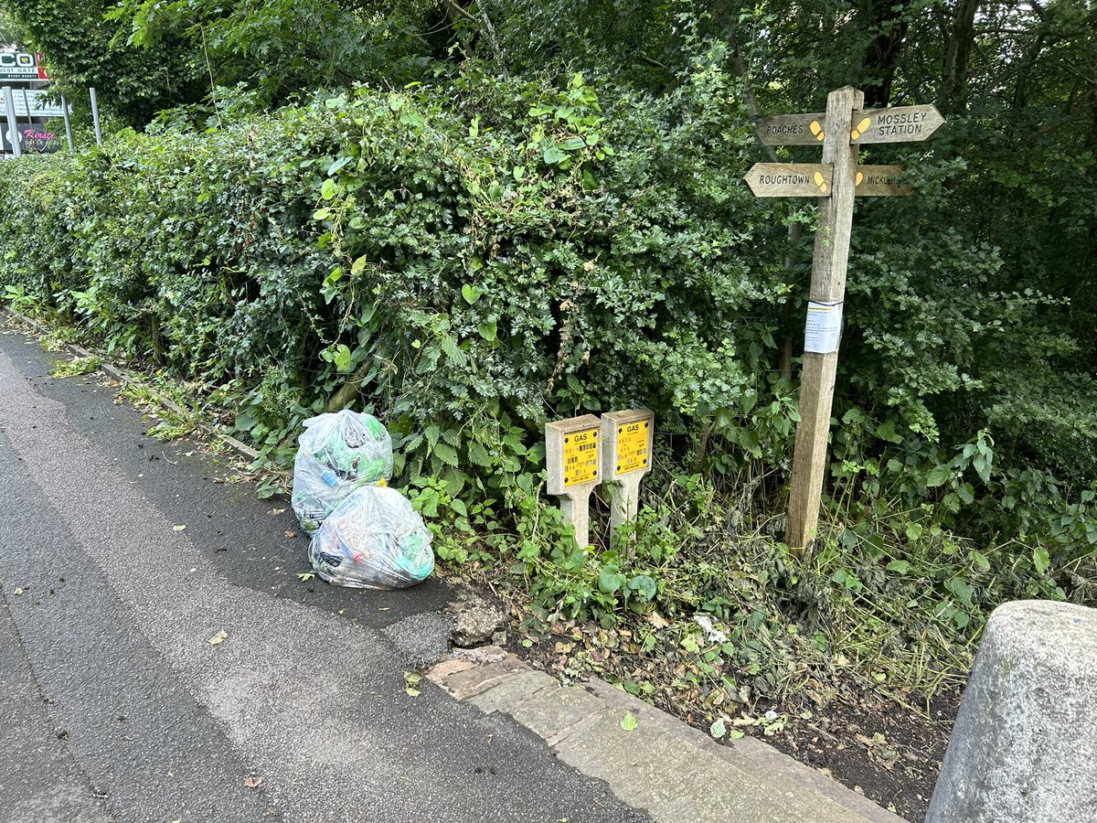 Tim O'Ryan tweet media