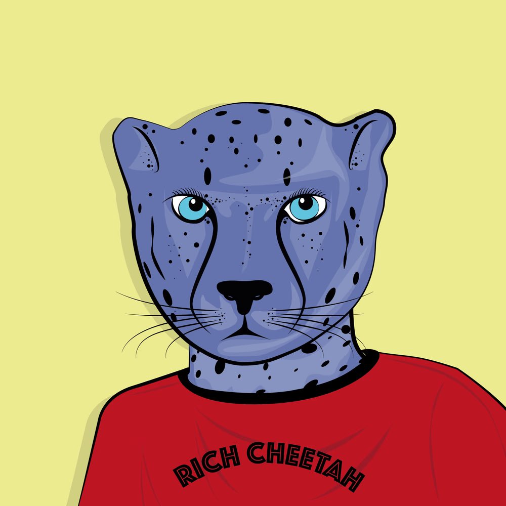 RichCheetah tweet media