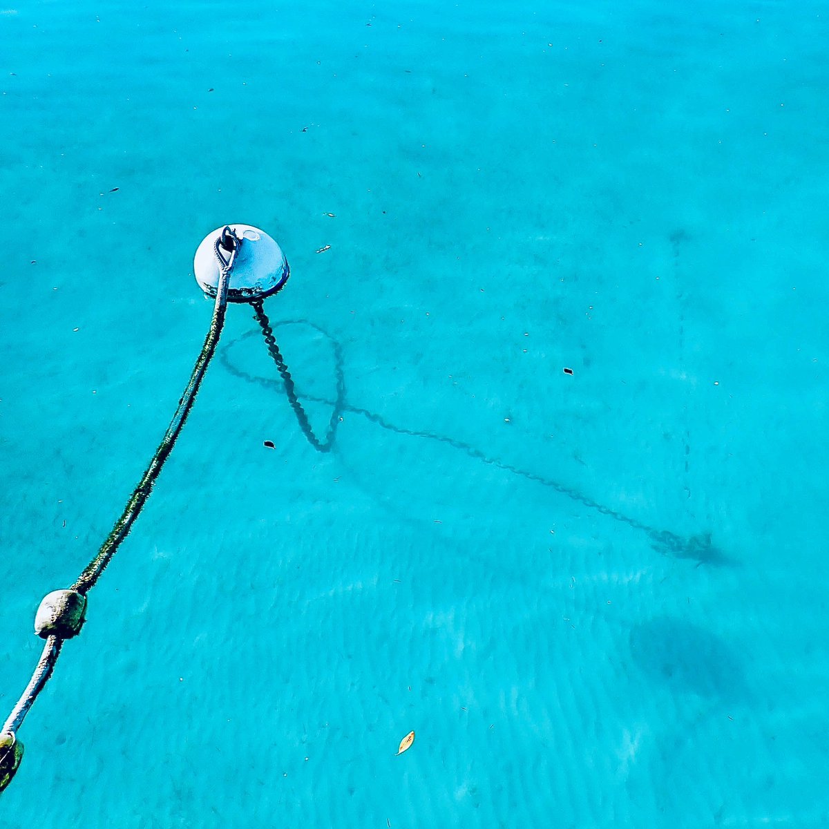 S/V HOPE tweet media