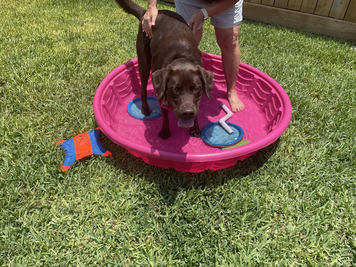 Michelle Walker tweet media