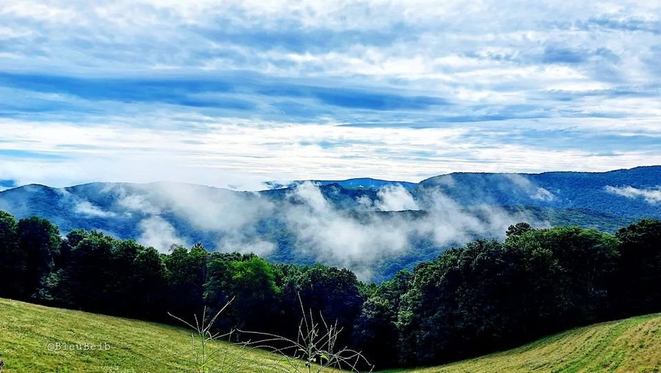 Country Road 📷 West Virginia
.
#westvirginia #visitwv #wvtourism #mountainstate #mountains #naturlovers #nature #naturelandscape #naturephotography #countryroads #beautifulday #enjoynature #enjoylife #almostheaven