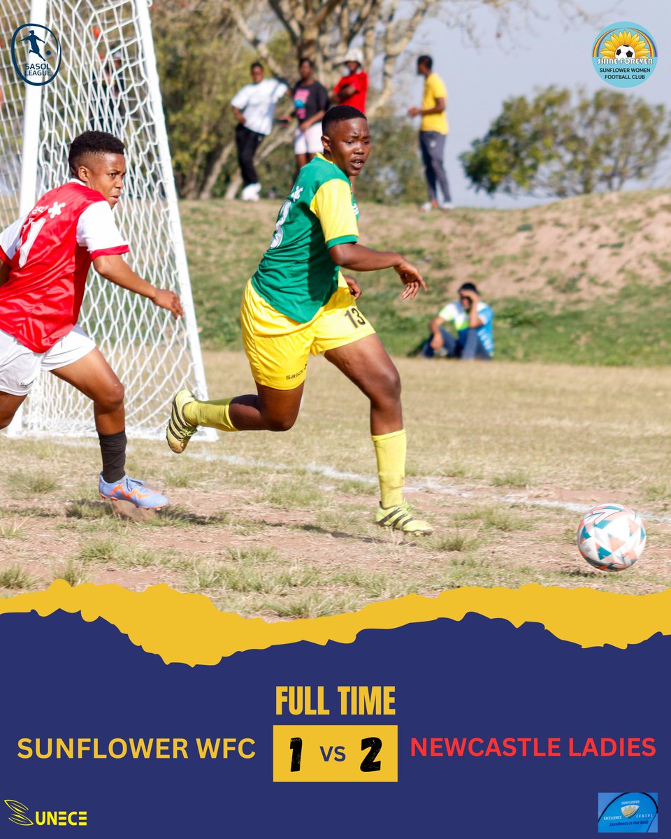 It all ends in defeat for the sunflowers