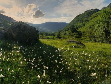 artindetaiIs's tweet photo. greenery. https://t.co/2QcsUXwdnK