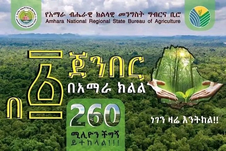 BahirdarC's tweet photo. በአማራ ክልል ሐምሌ 10/2015 ዓ.ም በአንድ ጀንበር 260 ሚሊዮን ችግኝ ይተከላል። 

ለውጤታማነቱ ሁላችንም የድርሻችንን እንወጣ። ሐምሌ 10/2015 ዓ.ም በአንድ ጀንበር 260 ሚሊዮን ችግኝ በመትከል ዳግም ታሪክ እንስራ። https://t.co/dJW2TnGheb