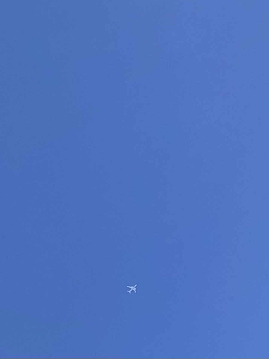 DailyStepUp's tweet photo. #Summer
#blue #sky
#hot #shinny
#plane
#reflesh
#art https://t.co/yo56SAYrD8