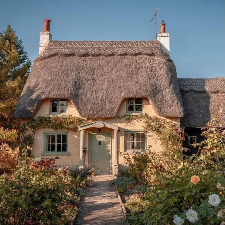 artindetails's tweet image. golden days.