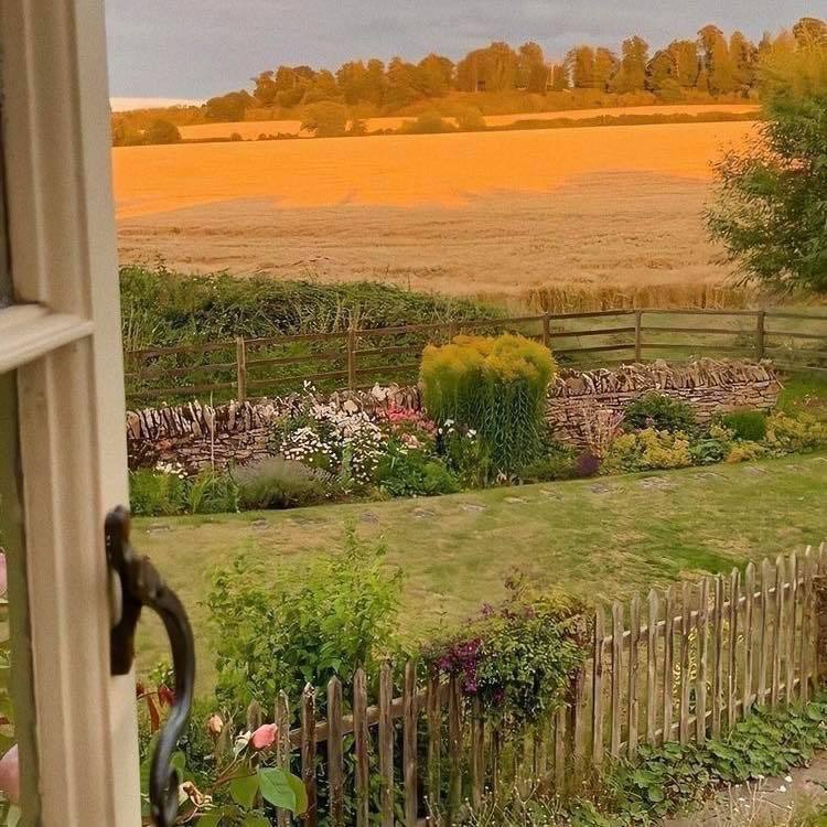 artindetails's tweet image. golden days.