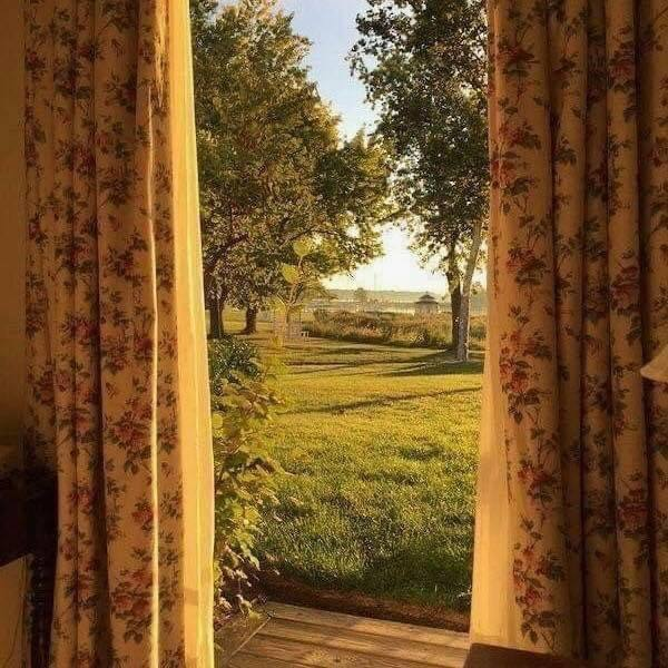 artindetails's tweet image. golden days.