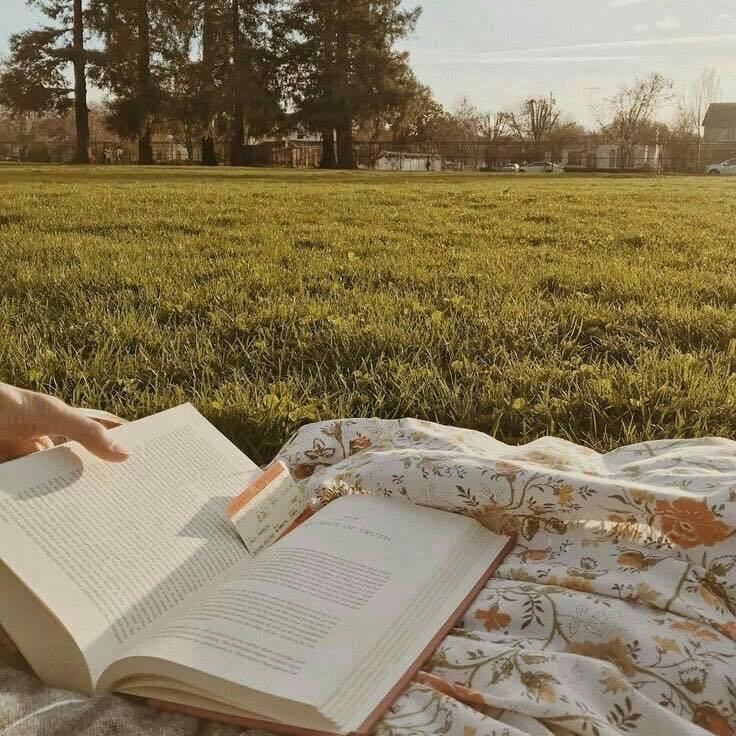 artindetails's tweet image. golden days.