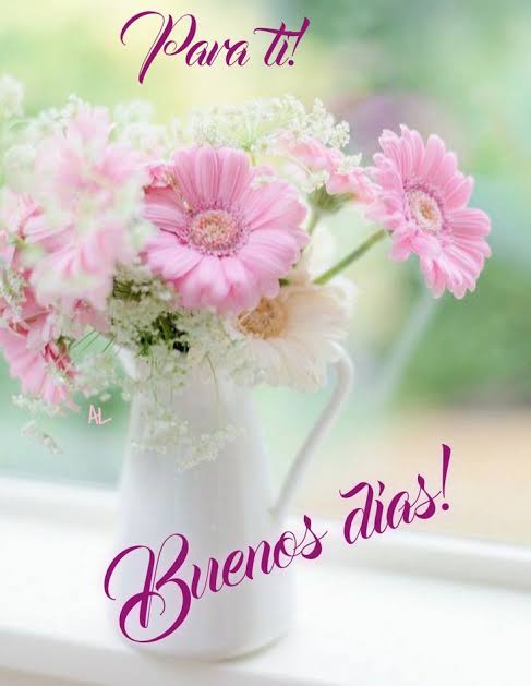 Lindo domingo 💕