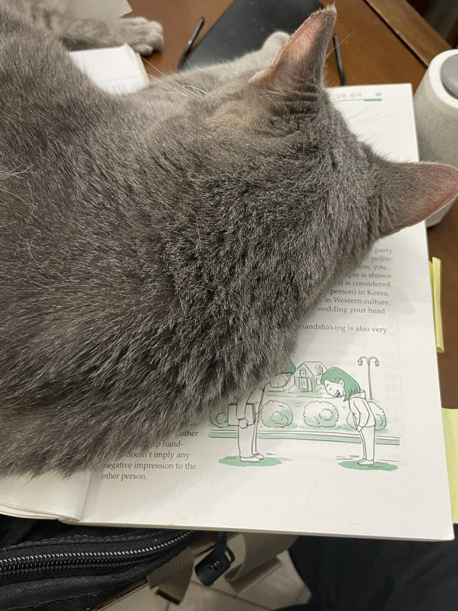 JMLevinton tweet media