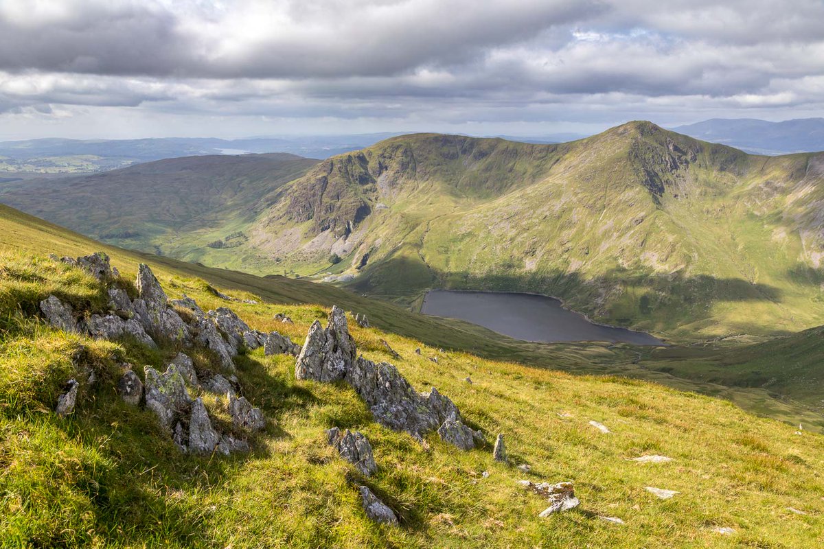 Andrew Locking tweet media