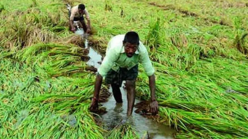 metro_updates's tweet photo. Telangana's groundwater extraction surges, contradicting CM KCR's irrigation claims. Kaleshwaram lift irrigation scheme falls short. https://t.co/yLJDyJfDLX