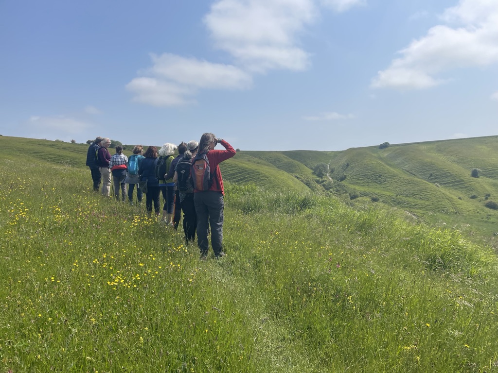 Summer Walking with WALX Wessex - mailchi.mp/f3cee8c371f1/s… The British Summer is challenging this week but looking calmer as we head into the school holidays and a great time to get out and about locally. #nordicwalking #wiltshirewalks #visitpewseyvale