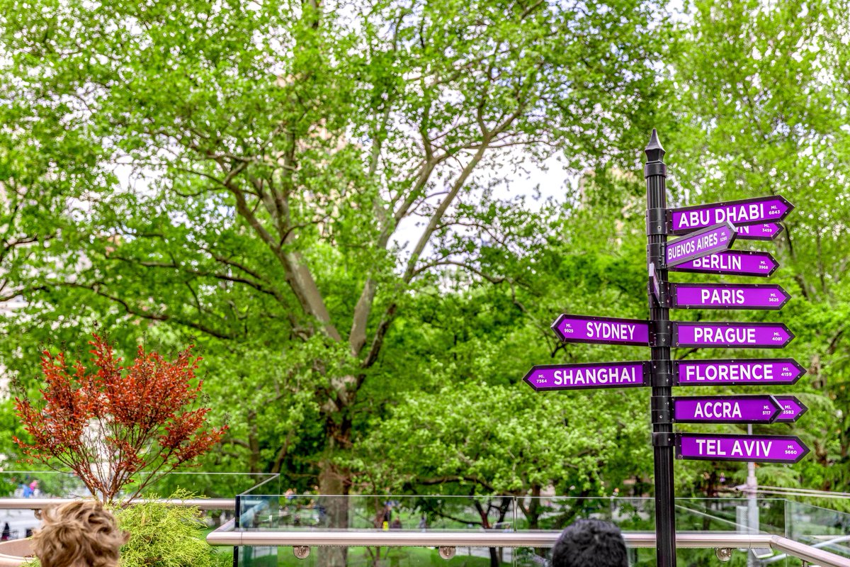 New York University (@nyuniversity) on Twitter photo Where in the 🌎 are you this summer? ✈️ Where in the 🌎 are you this summer? ✈️