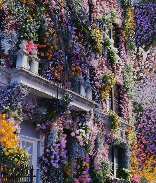 surrounded by flowers