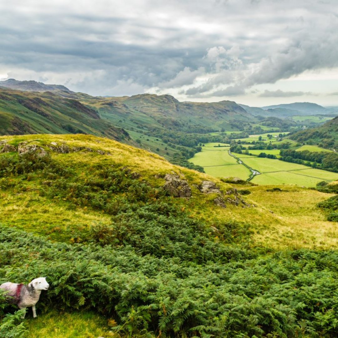 Lake District tweet media