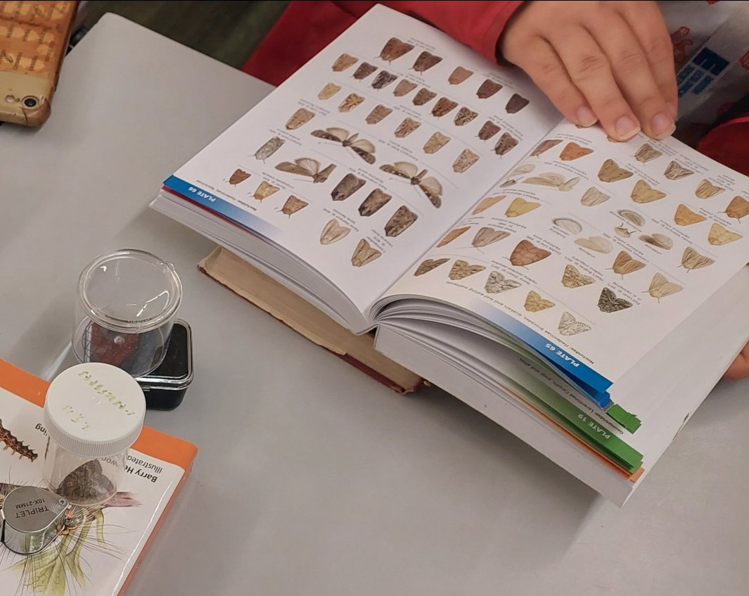 Chris Jeffs tweet media