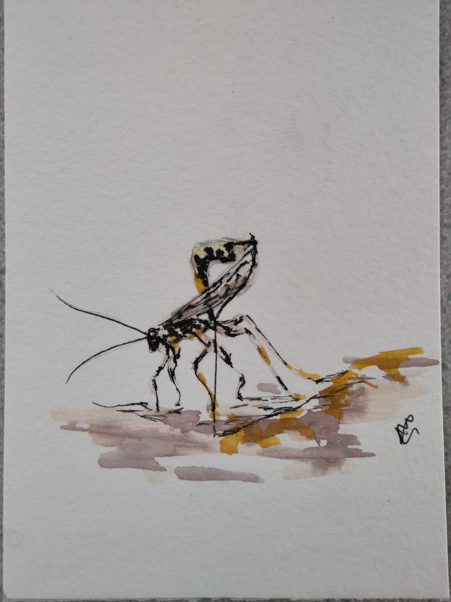 Chris Jeffs tweet media