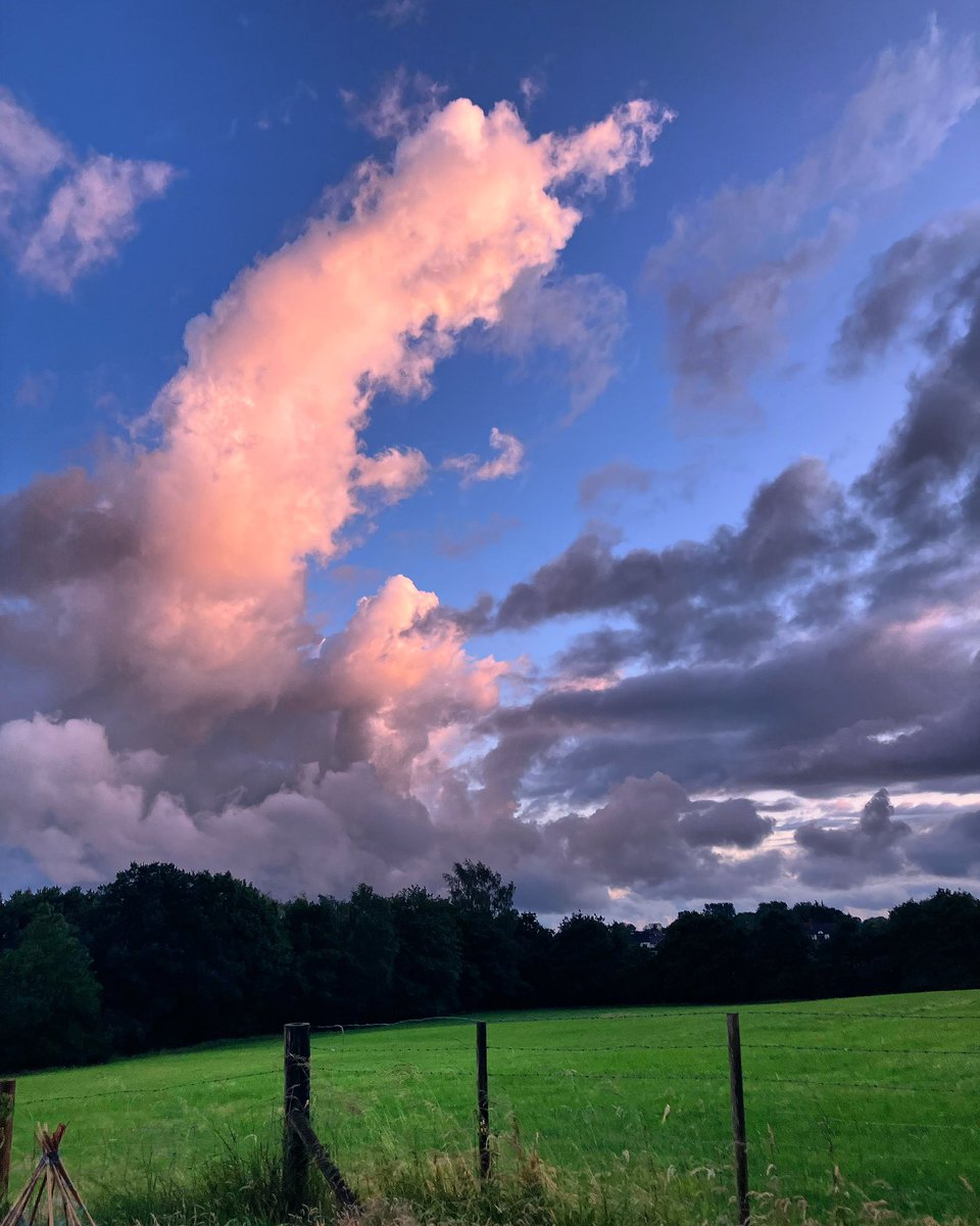Sunday. That magical day of rest where you get up early, do a few chores and then it’s somehow three pm.
.
Anyway. Here’s a cute cloud.