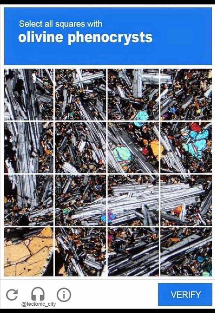 Prof. Susan Webb tweet media