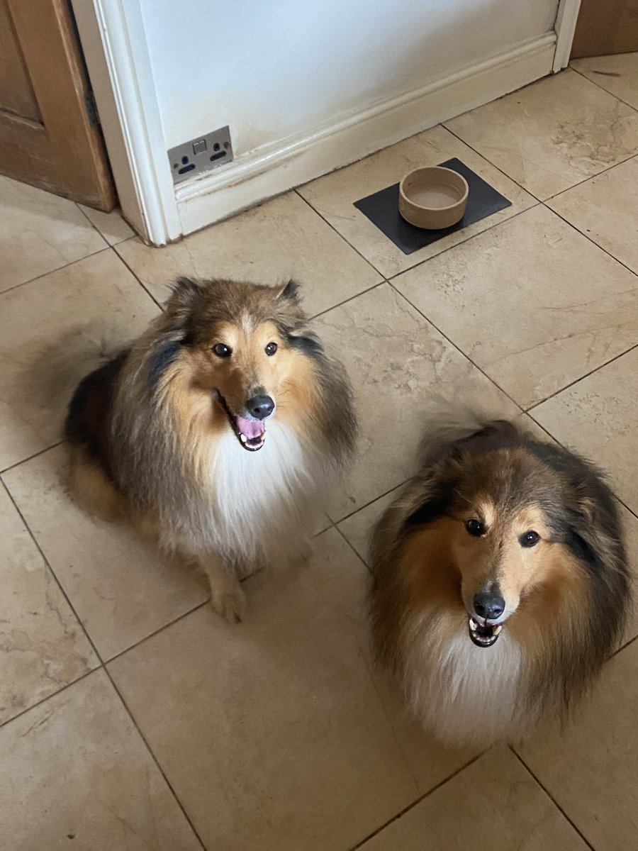 Rachel Lennon tweet media