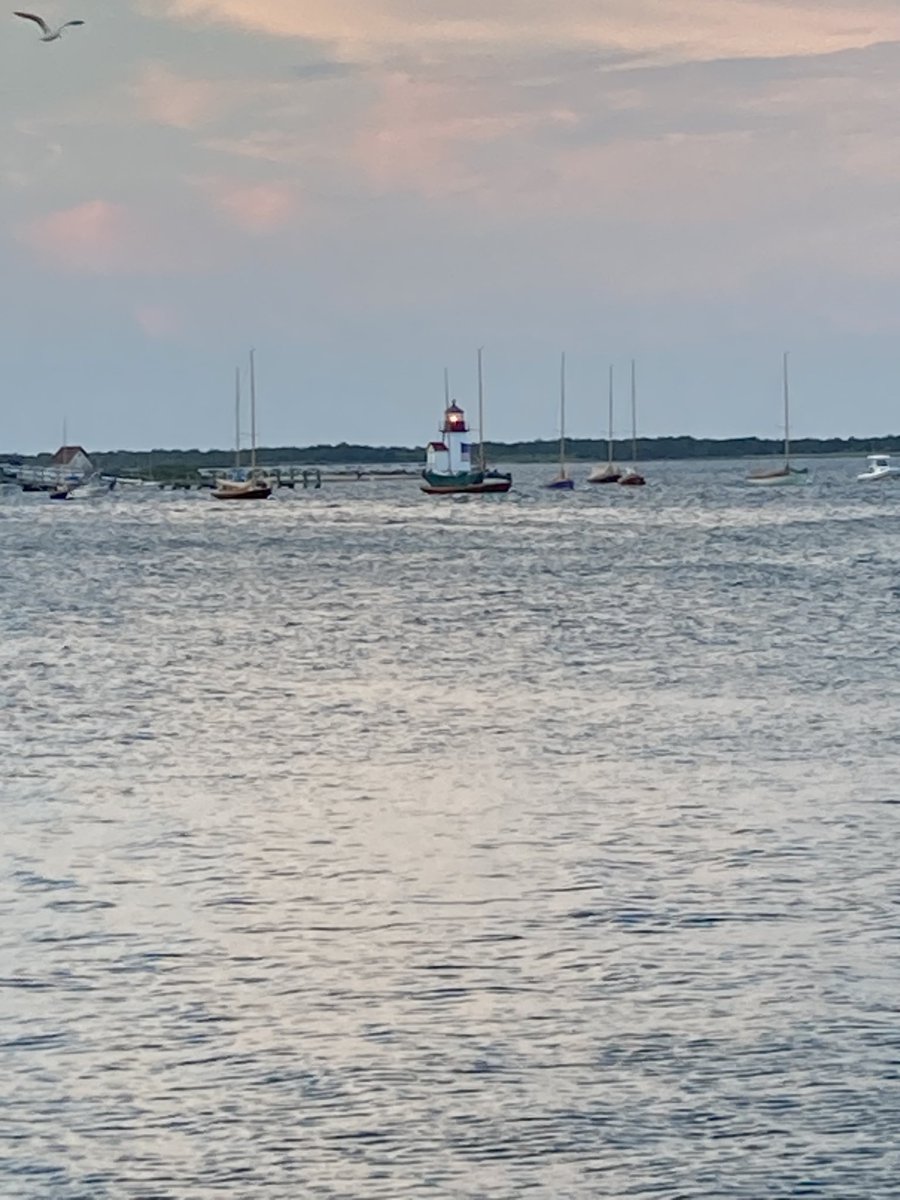 Lindsey Clark tweet media