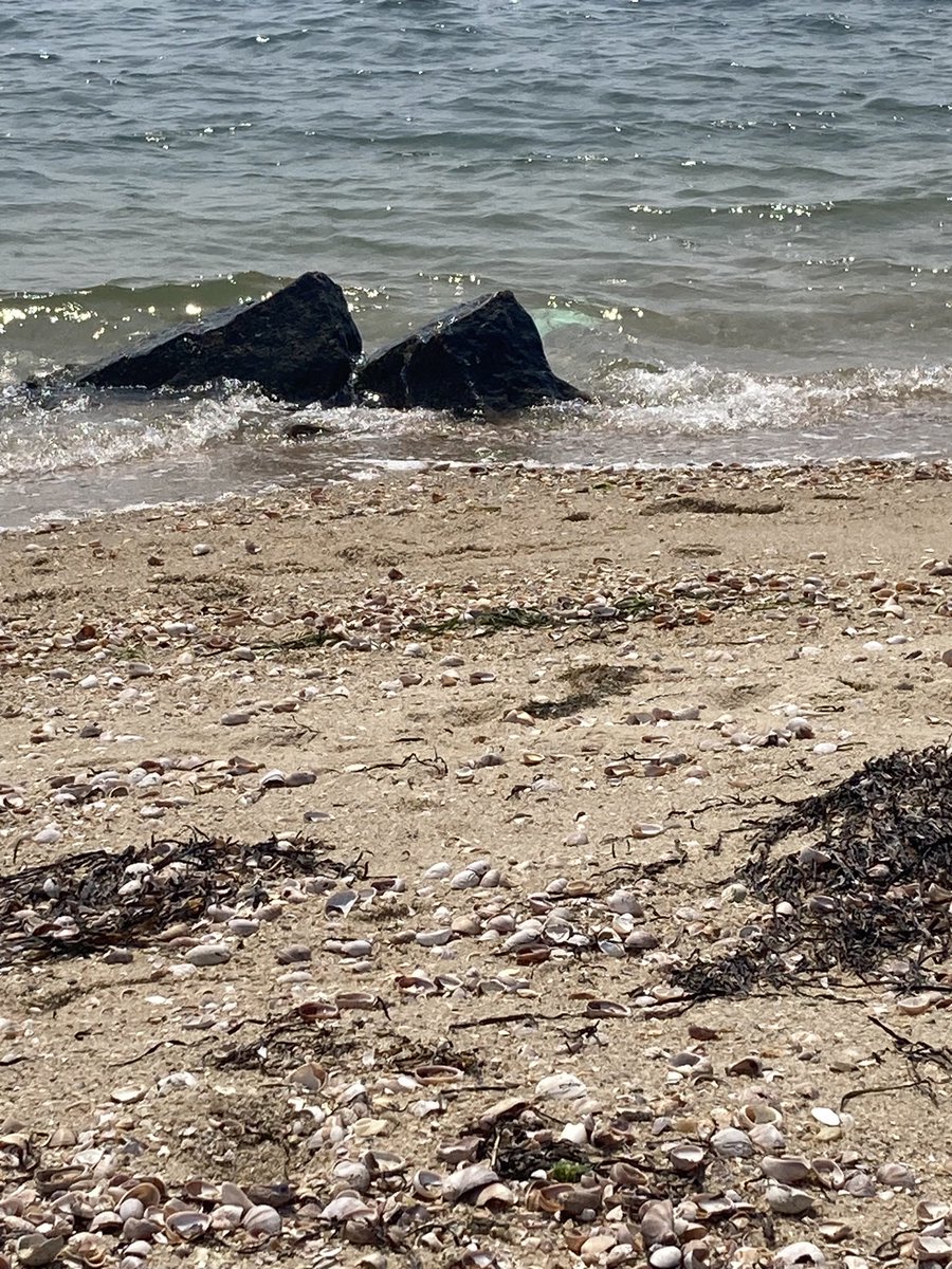 Lindsey Clark tweet media