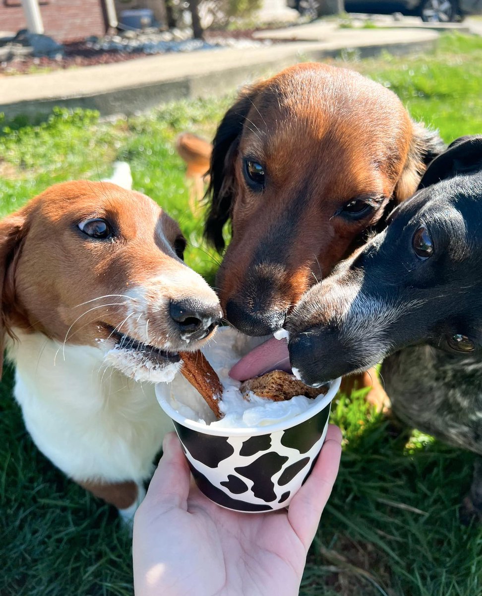 Visit Corydon tweet media