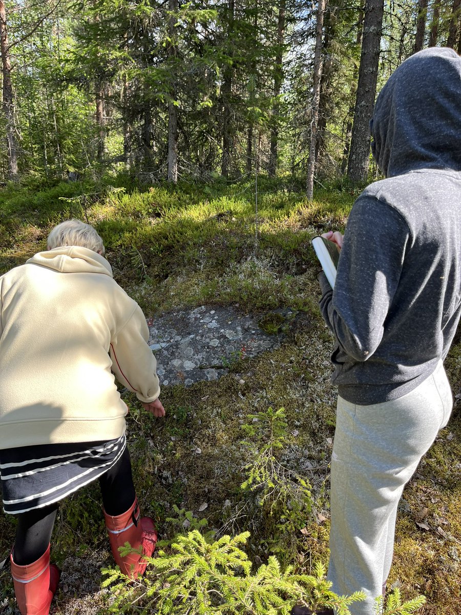 jmapat's tweet photo. Yläkoululaisten kasvien keräily, mikä loistava tapa saada luontoon äidit, isät, ukit, mummut ja kummit! #kasvio #kasvienkeräily #luonto #metsä https://t.co/dmRQlf0UK9