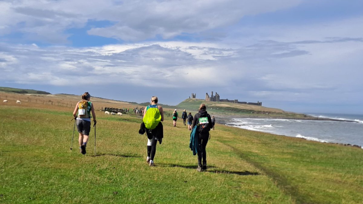 Anna Riley tweet media