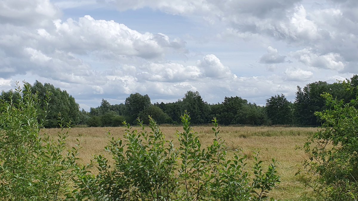 ndc_67's tweet photo. #wolken #clouds
#meersen #bomen 
#seizoenen #zomer 
#fietsen #wandelen
#gemeneweidebeek 
#natuurgebied 
#natuur #rust
#vrtweer #weerfoto 
@GeertNaessens @FocusWTV https://t.co/LM0hvRP8e9