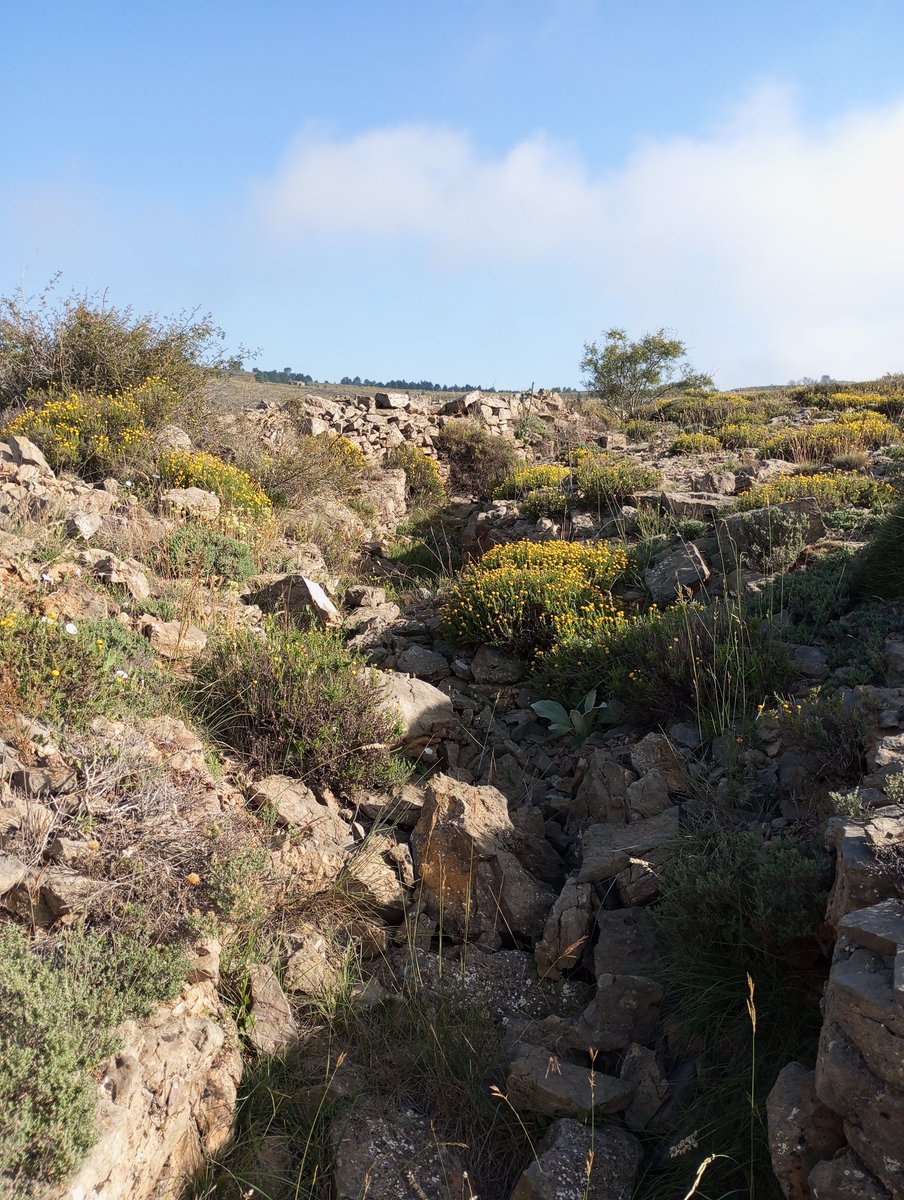 Rotoveitor's tweet image. Linea intermedia o del Palancia, Andilla