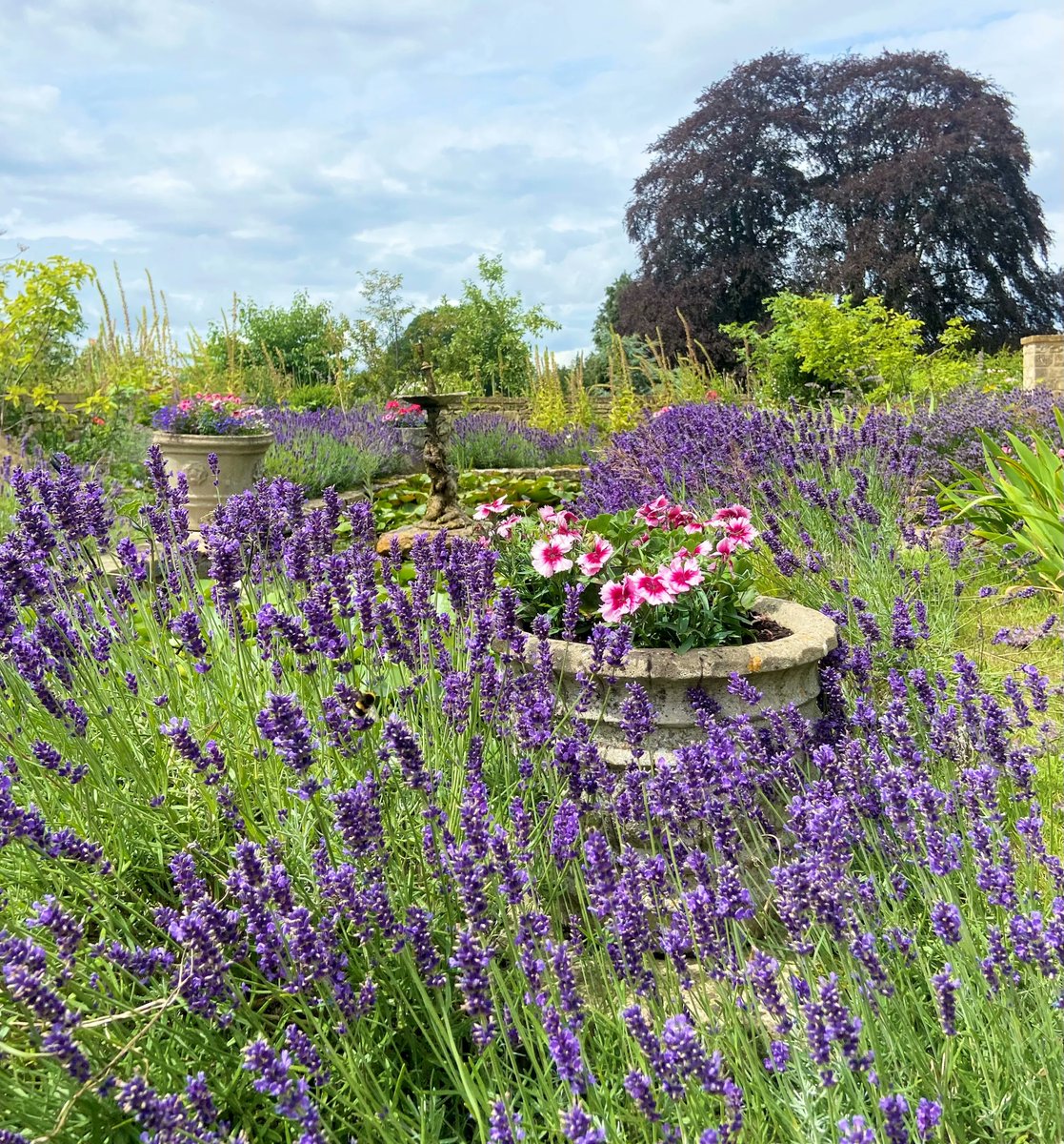 Buckland Manor tweet media