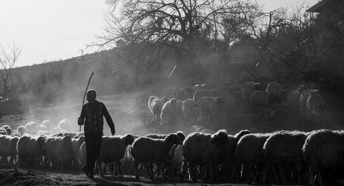 <a href="/CoRhAlaTiBLe/">CoRhAlaTiBLe</a> objkt.com/asset/KT1RFJfN…