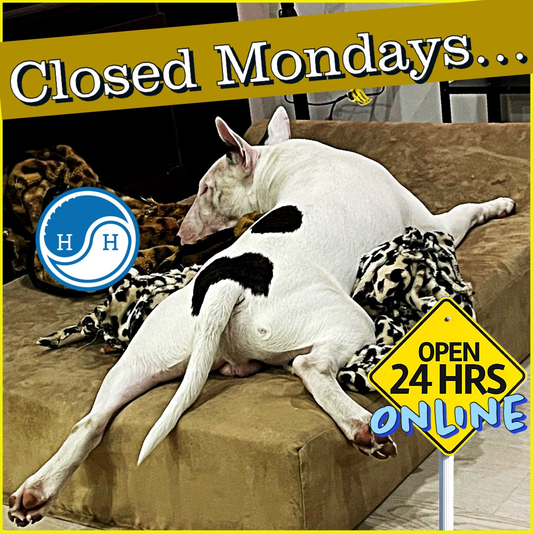 holistic_hydro's tweet photo. Closed on Mondays, but our online store is OPEN 24/7! 🌱💻

Shop hydroponic supplies anytime, anywhere, and get them delivered to your door. Convenience at its best! 🚚🌿

Join us on our green journey, even on Mondays!

#OnlineStore #Open24x7 #Hydroponics #Convenience https://t.co/96NQ28G7FY