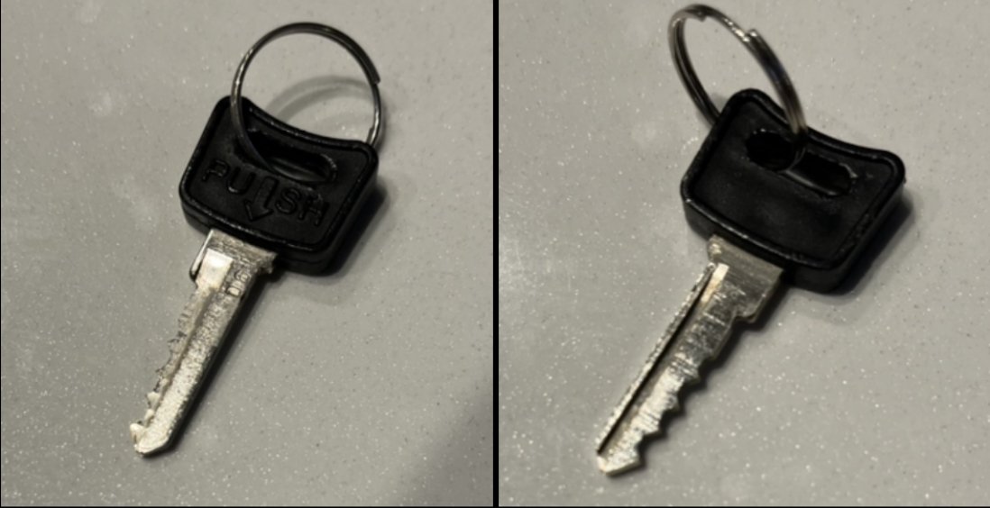 くまのこべあーず tweet media